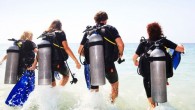 Some world-class dive sites are located just off the shore, letting you explore without ever having to board a boat. But with shore diving comes some added considerations. Here’s how to make a safe shore-diving entry. STEP 1: Gear Up! […]