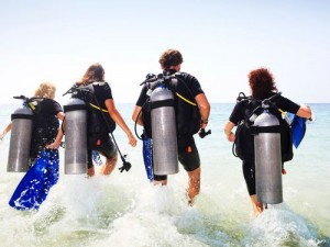 Some world-class dive sites are located just off the shore,