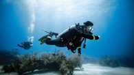 I want to keep an eye out for signs of decompression sickness after I dive. Is there a certain type of diving that makes you more susceptible? And how can I tell if I have DCS? Decompression sickness (DCS) is […]