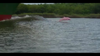 HACKBERRY, La. – A rare pink dolphin affectionately known as “Pinky” was spotted swimming off the coast of Louisiana. The dolphin was first spotted in 2007 in the Gulf of Mexico and there have been numerous spottings over the years, […]