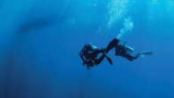 Intimidated by underwater navigation? Follow these tips next time you go scuba diving to avoid losing the dive boat. First of all, don’t be intimidated by a divemaster who seems as though he or she could find the dive boat […]
