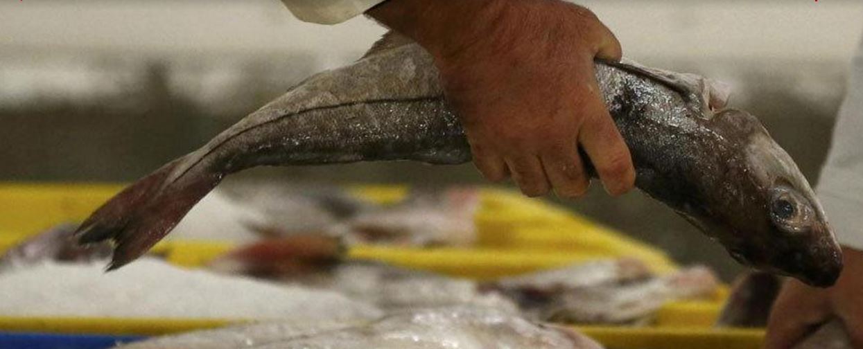 It’s not really unusual for deep-sea fishermen to come across