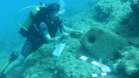 Mersin kıyılarında yapılan sualtı araştırmalarında, 100 kilometrelik şeritte 1000 ile 2700 yaş arasında 18 gemi batığı bulundu. Antalya Kemer’de bulunan Selçuk Üniversitesi Sualtı Araştırma ve Uygulama Merkezi Müdürü Yrd. Doç. Dr. Hakan Öniz, üniversiteye ait Selçuk 1 araştırma ve uygulama […]
