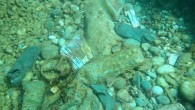 Konyaaltı’nda deniz dibinde şişeden bidona, külot lastiğinden kadın pedine, araba lastiğinden şezlonga kadar akla gelmeyecek çöp bulunuyor Konyaaltı sahilinde yerli ve yabancı turistlere dalış yaptıran, dalış eğitimi veren dalış eğitmeni Sunay Yıldız, Antalya’nın sadece Türkiye’nin değil dünyanın sayılı dalış merkezlerinden […]