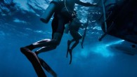 When the water is deep and the boat is bucking like a bronco, you need skill and strength to get back aboard the boat after scuba diving. STEP 1: Evaluate the Exit Before surfacing, evaluate the conditions above you to […]