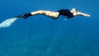 Eski bir yüzücü olarak havuzda büyüdüğüm için her ne kadar İzmirli olsam da, çok deniz görmüş ve süperötesi yüzüyor da olsam; yosunlar ve balıklar benim korkulu rüyamdı.. Hemde öyle bir korkuydu ki benimki dayımın veya babamın kucağında girerdim ayaklarımın yere […]