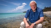BBC is set to release a sequel to the award-winning 2001 ocean documentary Blue Planet in early 2018, and judging by the recently released prequel trailer, this could be one of the most impressive documentary series of our time. The […]