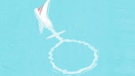 The E-Scow, at 28 feet and handled by four sailors, is a temperamental, sensitive, send-your-heart-into-your-throat kind of boat that keeps skippers of all skill levels coming back for more. I’m one of them. In 2011, my father’s middleman was ­adamant […]