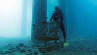What do a skateboard, Ganesh statue, golf clubs and fake teeth all have in common? They are all odd items found by Dive Against Debris® volunteers since Project AWARE’s flag ship citizen science program launched in 2011. There’s a vast […]