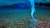 Sure, Niagara Falls draws all the tourists, but there are mightier waterfalls that no one visits. They just happen to be underwater. It’s the phenomenon that occurs when dense, cold water comes together with warmer, less-dense water. The Denmark Strait […]