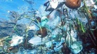 Üç milyar insanın geçimi de doğrudan okyanus ve denizlere bağlı. Denizlerin ve deniz canlılarının korunması için yapılması gerekenler Okyanus Zirvesi’nde masaya yatırıldı. Bu yıl dördüncüsü düzenlenen iki günlük zirveye Malta ev sahipliği yaptı. Konferans sadece siyasileri değil, kraliyetten isimleri de […]