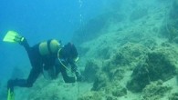 Marmaris’te, Gıda Tarım ve Hayvancılık Müdürlüğü su altındaki canlı ve habitatlara en büyük zararı veren, kaybolan veya bilinçli olarak su altına atılan, ‘hayalet ağ’ olarak bilinen ağ ile misinaları temizlemek için çalışma başlattı. Güney Ege ekosistemini korumak ve sürdürülebilir yaşam […]