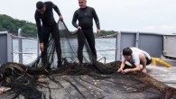 Fishing gear has been lost, abandoned or otherwise discarded in all seas and oceans ever since fishing began. The extent and impacts of the problem have worsened significantly in recent years with the increasing levels of industrial fishing and also […]