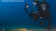 Uluslararası İskenderun Körfezi Sempozyumu kapsamında 11 Ekim Saat.12.20’de İskenderun Teknik Üniversitesi’nde “İskenderun Körfezi’nin Sualtı Yaşamı-Underwater Life Of İskenderun Bay”konulu sunumum olacaktır. Bölgeden katılabilecek dalışsever arkadaşlara duyurulur… Tahsin Ceylan