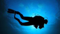 1. The chance meet friendly sea turtles and other sea animals If you’re not on scuba, you simply won’t have the chance to see many animals in the wild. And some of the most special encounters come with sea turtles, […]