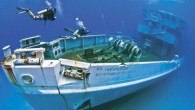 One of Grand Cayman’s most-popular dive sites — the artificial reef site Kittiwake — was impacted by Tropical Storm Nate as it first began developing in the Caribbean. The 251-foot-long ship was sunk in 60 feet of water near the […]
