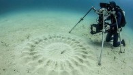 Crop Circles Divers were perplexed when they first found intricate designs in the sand off Japan’s Amami-Oshima Island some 25 years ago. But these 6-foot-wide structures are just another example of males in their endless pursuit of female attention. It’s […]