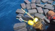 When the U.S. Coast Guard located 1,800 pounds of cocaine floating in the eastern Pacific Ocean last month, they weren’t expecting to also free a loggerhead sea turtle that could have easily died without their intervention. While on patrol Nov. […]