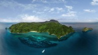 The National Coast Guard Service of the Ministry of Public Security (Servicio Nacional de Guardacostas, del Ministerio de Seguridad Pública) confirmed the death of an American tourist, whose identity has not yet been made public, after being attacked by a […]