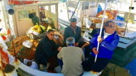 Muğla’nın Bodrum ilçesinde balıkçıların ağlarına sürüler halinde takılan balon balıkları tedirginlik yarattı. Zehirli bir tür olan balon balıklarından yediği ileri sürülen 2 kedi öldü. Balıkçı Halil Aktaş, “Bu kadar çok balon balığını ilk kez bir arada gördüm. Yörede bilinmeyen balık […]