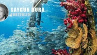Latin Amerika’da çok tanınan Brezilya’nın sualtı dergisi “DIVEMAG International” ile birlikte yaptığımız çalışmalar kapsamında; sualtı görüntüleme sanatçısı Saygun Dura’nın portfoliosunu ve röportajını yayınladı. Türkiye için iyi bir tanıtım olduğuna inandığımız bu çalışmalarda DIVEMAG Intarnational dergisinin genel yayın yönetmeni Kadu Pinheiro’ya […]