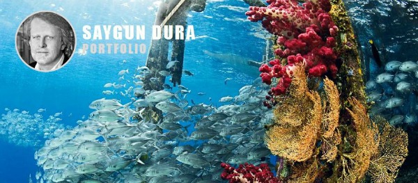 Latin Amerika’da çok tanınan Brezilya’nın sualtı dergisi “DIVEMAG International” ile