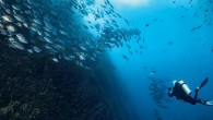 Volcanoes have the power both to destroy and create. For those who live on their slopes, an eruption can be terrifying, but volcanoes have also formed much of our landscape. Islands like Hawaii are built by the constant flow of […]
