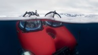 The images below are the first of creatures found in a previously unexplored region of the Antarctic seabed offering a fascinating glimpse of life in one of the most remote and pristine places on the planet. The rare species were […]