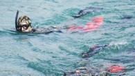 Bodrum’da 4 yıldır “denize en çok mavi yakışır” sloganıyla devam eden ve 14 belediye dalgıcının katıldığı deniz dibi temizliği çalışmalarında bugüne kadar 15 ton atık malzeme çıkarıldı. Muğla’nın Bodrum ilçesinde “Denize en çok mavi yakışır” sloganıyla devam eden Bodrum Belediyesi’nin […]