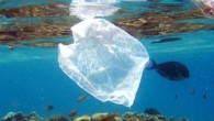 İngiltere’de yayınlanan bir araştırma, deniz ve okyanuslarda bulunan plastik miktarının 10 yıl içinde 3 katına çıkabileceğini ortaya koydu. Araştırma, iklim değişikliği sonucu deniz seviyeleri yükselirken su sıcaklığının giderek arttığını da gösterdi. Hükümetin inisiyatifiyle hazırlanan araştırma raporunda, bakanlıklara deniz ve okyanuslara […]