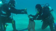 Bodrum Belediyesi’nin “Denize en çok MAVİ yakışır” sloganıyla başlattığı deniz dibi temizlik çalışmaları, bu cumartesi Adaboğazı Koyu’nda devam etti.Adaboğazı’nda hava şartları sebebiyle daha önce yapılamayan deniz dibi temizlik… Bodrum Belediyesi’nin “Denize en çok MAVİ yakışır” sloganıyla başlattığı deniz dibi temizlik […]