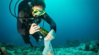 One million pieces of trash – well 1,000,114 to be exact. It’s hard to imagine! That’s roughly the weight of 16 and a half jet fighters, or 10 humpback whales or 205 family cars. Yet that is exactly what scuba […]