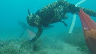“Denize En Çok Mavi Yakışır” sloganıyla Bodrum Belediyesi Dalış Ekibi tarafından gerçekleştirilen deniz dibi temizlik çalışmaları bu hafta Turgutreis’te devam etti. Dalgıçlar deniz dibinden 352 kilo atık çıkardı. Bodrum Belediyesi’nin 4 yıl önce başlattığı deniz dibi temizlik çalışmaları kapsamında Bodrum […]