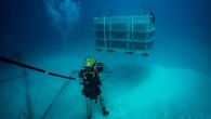 FORT SHAFTER, Hawaii — A joint underwater recovery team of soldiers, sailors, airmen and civilians recently completed an intense two-month excavation of sunken World War II airplanes in Palau, retrieving remains that could belong to long-lost American air crews, the […]