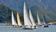 Türkiye Yelken Federasyonu