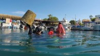 “Denize en çok MAVİ yakışır” sloganıyla Bodrum Belediyesi Dalış ekibi tarafından bu yıl dördüncüsü gerçekleştirilen Bodrum Belediyesi Deniz Dibi Temizlik Çalışmaları 4 Nisan’da Yalıkavak’ta devam etti. Bodrum Belediye A.Ş. Yalıkavak Cafe ile Yalıkavak Liman içindeki Balıkçı Barınağı önünde yapılan çalışmada; […]