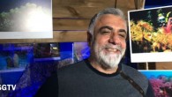 Gökhan Karakaş