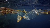 Her yıl okyanuslara 8 milyon ton plastik karışırken, 2050 yılında okyanuslarda balıktan daha fazla plastik olacağı öngörülüyor. Tüm dünyayı tehdit eden plastik kirliliğini ortadan kaldırmak için birçok tedbir alan Dell, tüm bireyleri ilgilendiren bu çevre sorunu için çağrıda bulunuyor. Okyanuslar […]