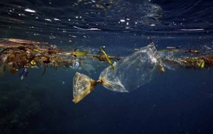 Her yıl okyanuslara 8 milyon ton plastik karışırken, 2050 yılında