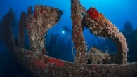 Antalya’nın Kemer ilçesinde dalış turizmi kapsamında günde 600 kişi su altını keşfediyor. Türkiye’nin önemli dalış merkezleri arasında yer alan Kemer’de 20 dalış okulu bulunuyor. Su altı görüşünün çok net olduğu Kemer açıklarında dalış yapanlar, vatoz, deniz kaplumbağası, nadir bulunan deniz […]