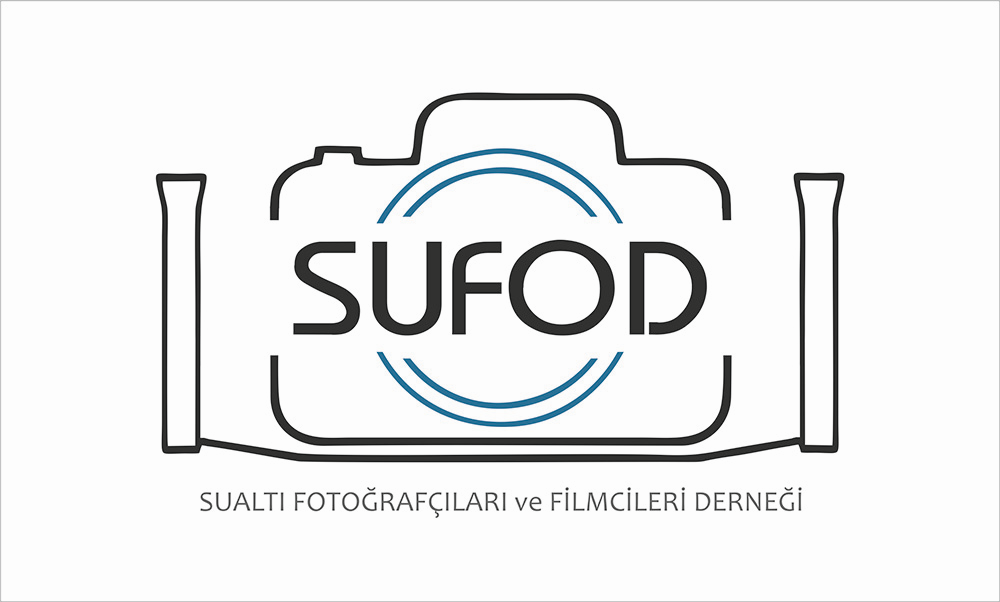 Değerli üyeler, Su altı fotoğraf/Film ekipmanlarının, ortam şartlarında kullanımlarının bir