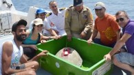 Caretta carettaların denize salınması için düzenlenen etkinliğe Muğla Vali Yardımcısı Mehmet Fikret Çavuş, Ortaca Kaymakamı Oktay Erdoğan, Dalaman Kaymakamı Ali Güldoğan, Sahil Güvenlik Güney Ege Grup Komutanı Deniz Binbaşı Oğuz Eryılmaz, Ortaca İlçe Jandarma Komutanı Yüzbaşı Evren Ekmekçi, Doğa Koruma […]