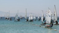Türkiye Yelken Federasyonu