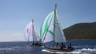 Türkiye Yelken Federasyonu