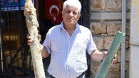 Akdeniz Üniversitesi Su Ürünleri Fakültesi’nde görevli Gökoğlu, Konyaaltı Sahil Projesi çalışmaları kapsamında, Konyaaltı Plajı’nın kapalı olması nedeniyle öğrencilerine, Kaleiçi Yat Limanı’nda eğitim dalışı yaptırdı. Dalışta öğrencilerine eşlik eden Gökoğlu, 20 metre arayla iki metal parça gördü. Yaklaşık 20 metre derinlikteki […]