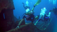 Diving the Superior Producer on Curacao is allowed once again. You may dive in the vicinity of the piers close to the wreck and on the wreck itself, but only if there are no ships moored. Just as before. Forgotten […]