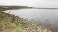 Şanlıurfa’nın Siverek ilçesine 5 kilometre uzaklıkta bulunan Hec Hıdır Barajı’nda binlerce balık kıyaya vurdu. Çevre köylerde yaşayan vatandaşlarda korkuya neden balık ölümleri ile ilgili inceleme başlatıldı. Siverek ilçesi Hec Hıdır Barajı çevresinde hayvan otlatan çobanlar, binlerce balığın kıyıya vurduğunu gördü. […]