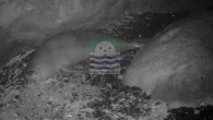 Foça yöresinde yaşayan Akdeniz Foklarının takibi için kurulan ‘foto-kapan’lar, bilimsel verilerin toplanmasını sağlıyor. Gözlem sonuçları, projeyle ilgili kurumlar ve akademisyenler tarafından mutlulukla karşılanıyor. Foça Belediyesi ve 9 Eylül Üniversitesi Deniz Bilimleri ve Teknolojisi Enstitüsü işbirliğiyle projelendirilen ‘Foto-Kapan’lar, beş ayrı mağara […]