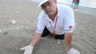 65 yaşındaki Bayram Kütle, 22 yıldır aksatmadan tuttuğu vefa nöbetiyle yuvalarından çıkan yavru kaplumbağaları güvenli şekilde denizle buluşturuyor. Antalya’da caretta carettalara ilgisi nedeniyle çevresinde “caretta babası” olarak tanınan 65 yaşındaki Bayram Kütle, 22 yıldır aksatmadan tuttuğu “vefa nöbeti”yle yuvalarından çıkan […]