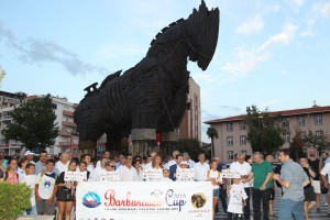 Türkiye Yelken Federasyonu